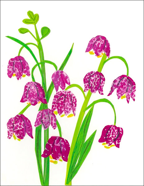 fritilaria - folding greeting card, size A2, 4.25 by 5.5 inches, printed on recycled paper. original paper collage artwork designed by denise fiedler for paste
