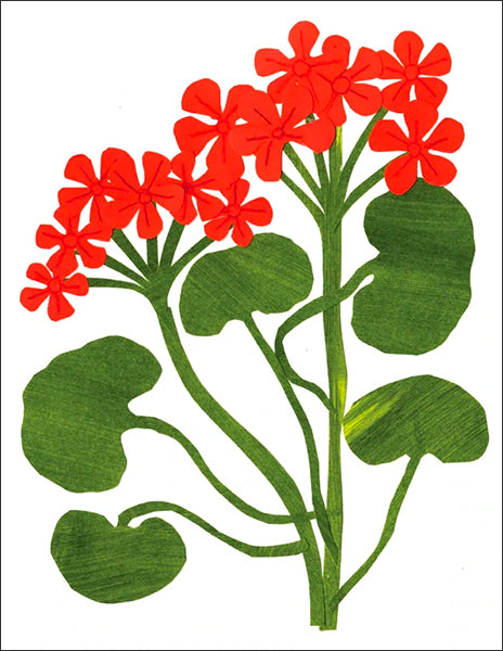 geraniums - folding greeting card, size A2, 4.25 by 5.5 inches, printed on recycled paper. original paper collage artwork designed by denise fiedler for paste