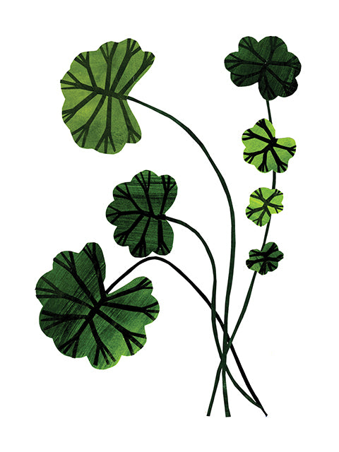 Sevena Geranium Botanicals Collage Collection – Seven Geranium Leaves – paste