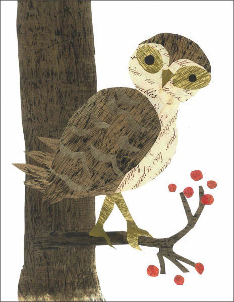 barn owl on a branch with berries - folding greeting card, size A2, 4.25 by 5.5 inches, printed on recycled paper. original paper collage artwork designed by denise fiedler for paste