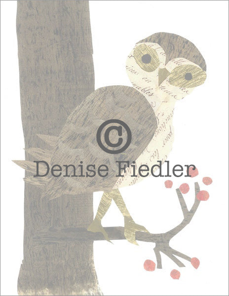 barn owl with berries © Denise Fiedler