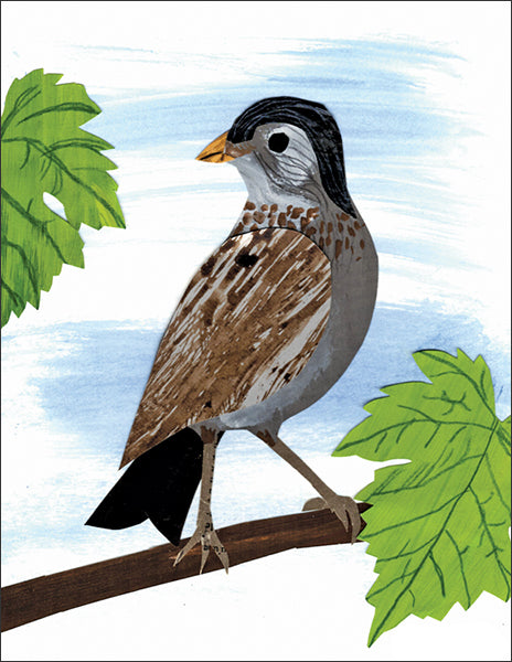 bird sitting on a branch - folding greeting card, size A2, 4.25 by 5.5 inches, printed on recycled paper. original paper collage artwork designed by denise fiedler for paste