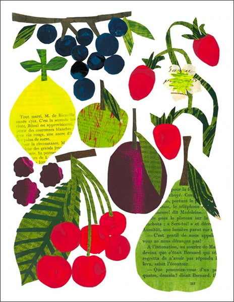 fruit - folding greeting card, size A2, 4.25 by 5.5 inches, printed on recycled paper. original paper collage artwork designed by denise fiedler for paste