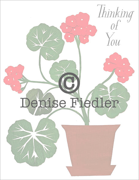 geranium in pot © Denise Fiedler
