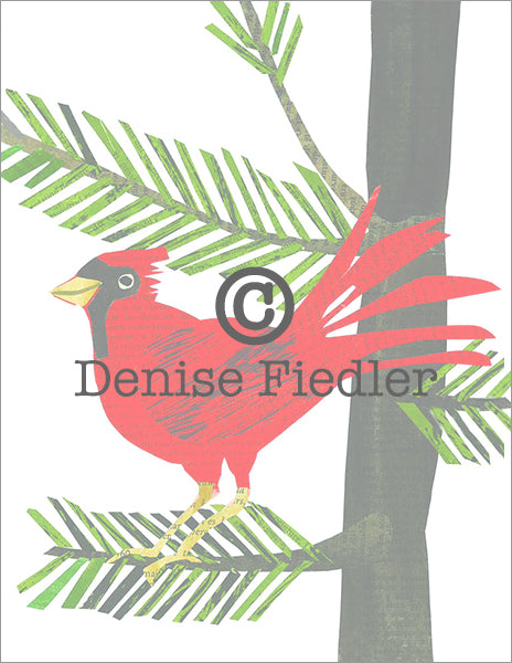 holiday cardinal © Denise Fiedler