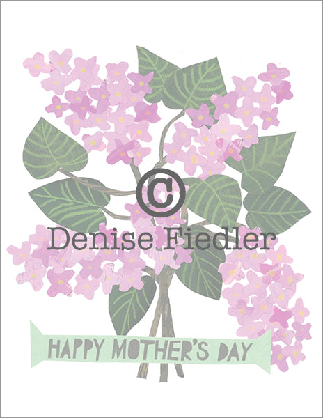 mother's day lilacs © Denise Fiedler