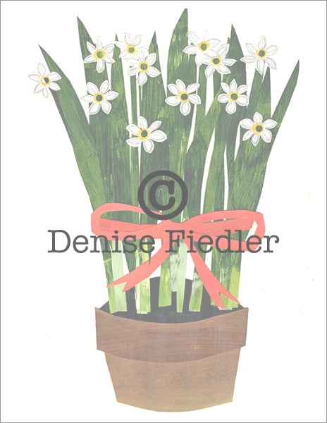 paperwhites with red ribbon © Denise Fiedler