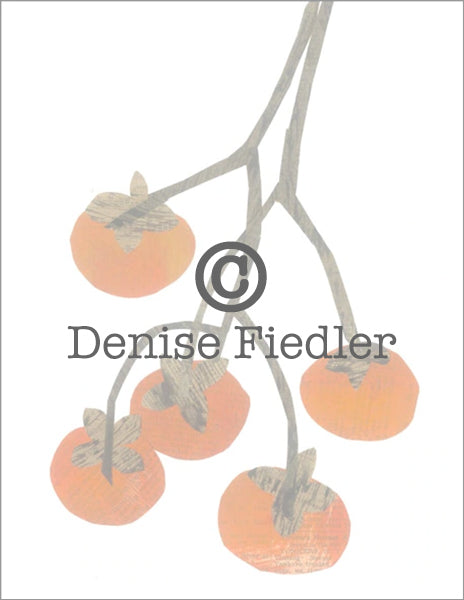 persimmons © Denise Fiedler
