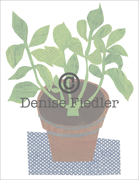 potted plant on indigo © Denise Fiedler