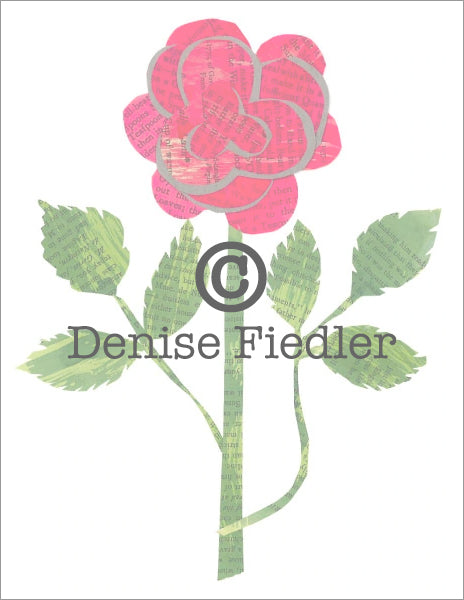 red rose © Denise Fiedler