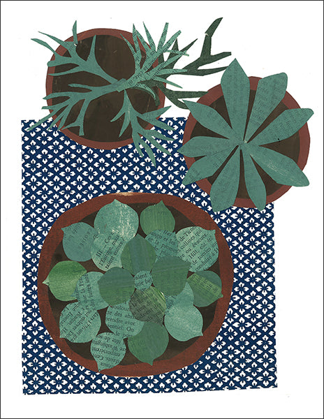 succulents - folding greeting card, size A2, 4.25 by 5.5 inches, printed on recycled paper. original paper collage artwork designed by denise fiedler for paste